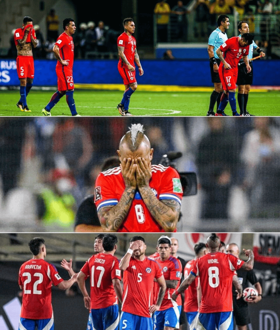 南美洲冠军级比赛精彩纷呈,观战者赞不绝口 南美洲冠军级比赛精彩纷呈,观战者赞不绝口